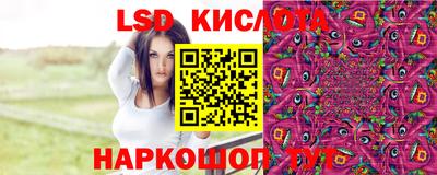 PSILOCYBIN Севастополь