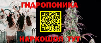 PSILOCYBIN Севастополь