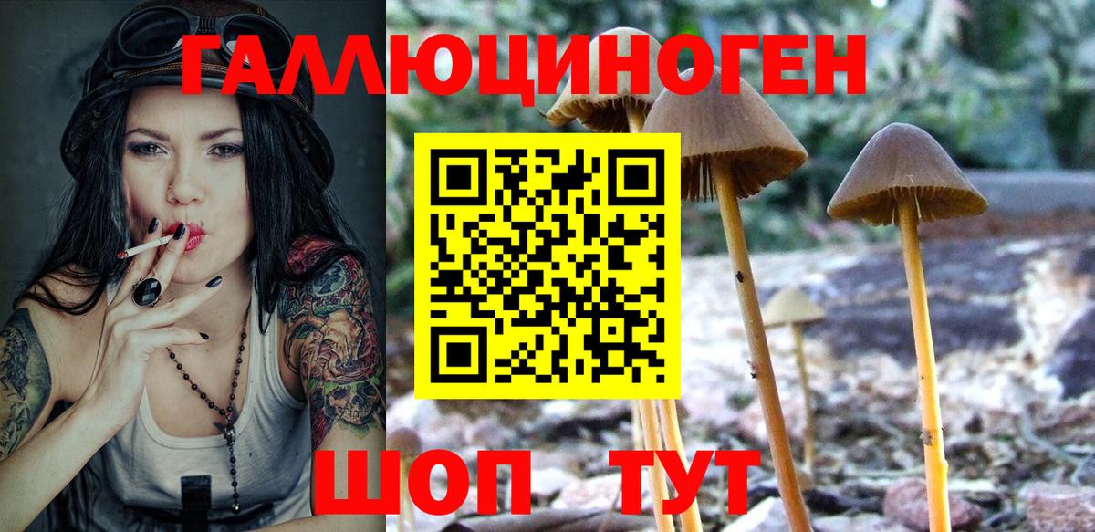 Псилоцибиновые грибы ЛСД  Вход с VPN  Прохладный  Галлюциногенные грибы прущие грибы 